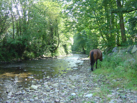 TPCH 6 : Bagnères de Bigorre 14/08/06 DSC02462