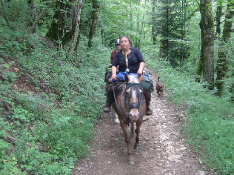 BS3: Du Bugey à l'Avant-Pays Savoyard DSC03507
