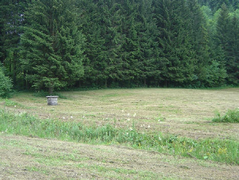 BS3: Du Bugey à l'Avant-Pays Savoyard DSC03508