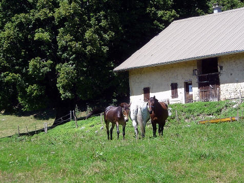BS3: Du Bugey à l'Avant-Pays Savoyard DSC03555